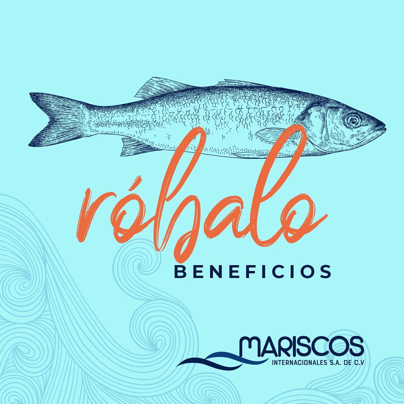 mariscosinter - El róbalo es un pescado blanco que esconde...