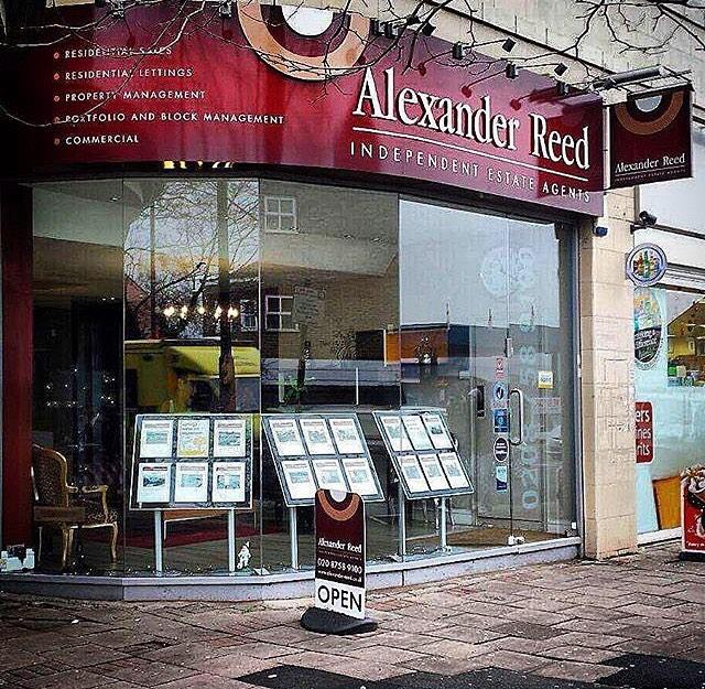 Alexander Reed | Isleworth
