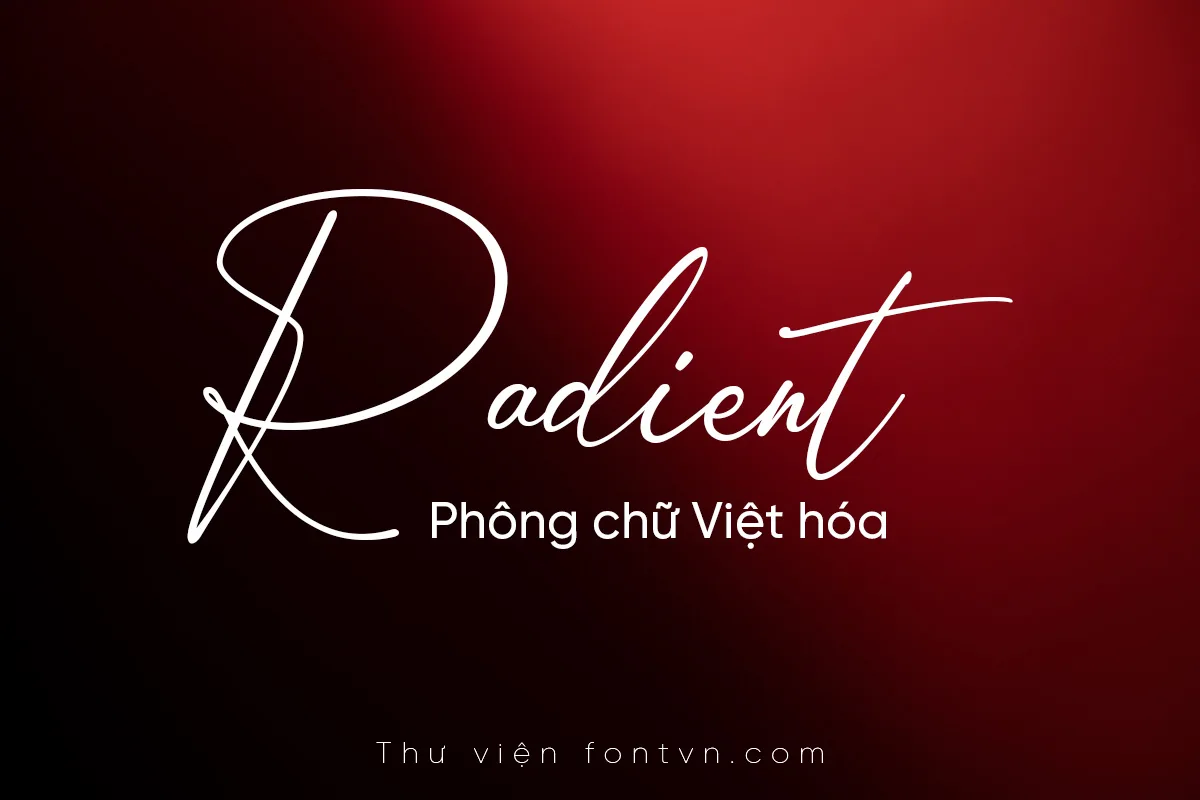 Designer - DVN Amsterdam Handwriting Việt hóa – Font chữ ký tuyệt đẹp ...