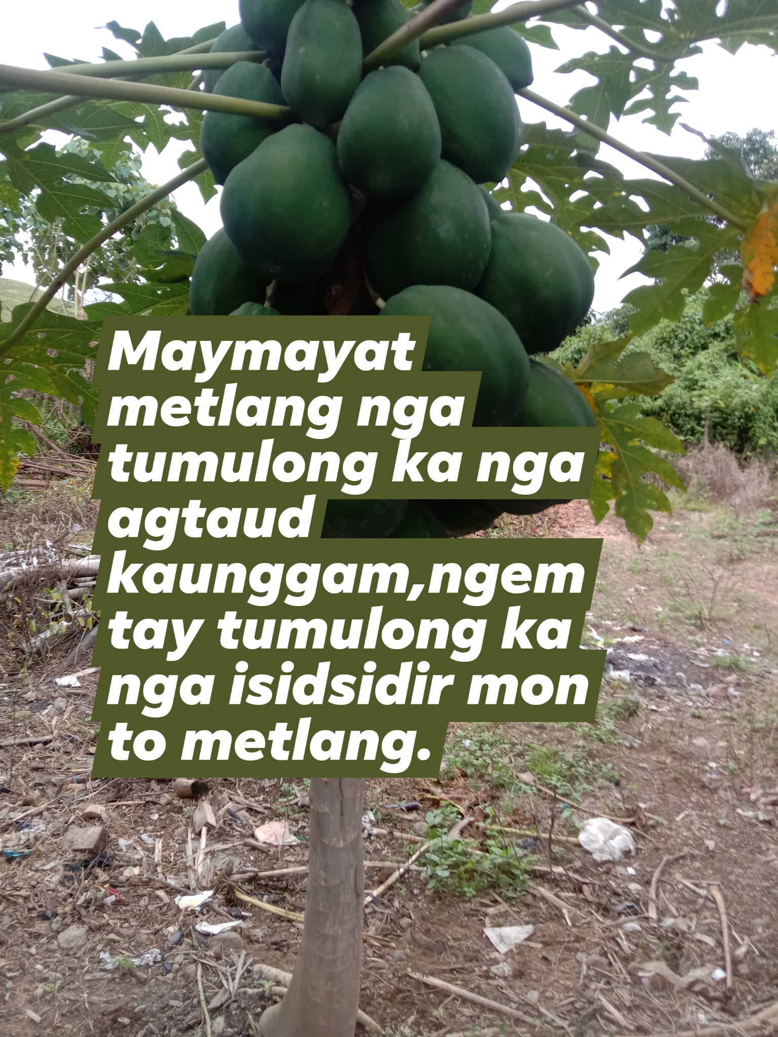 BELOVED NUEVA VIZCAYA, BELOVED PHILIPPINES!!! | 📍 Block 5, Brgy ...