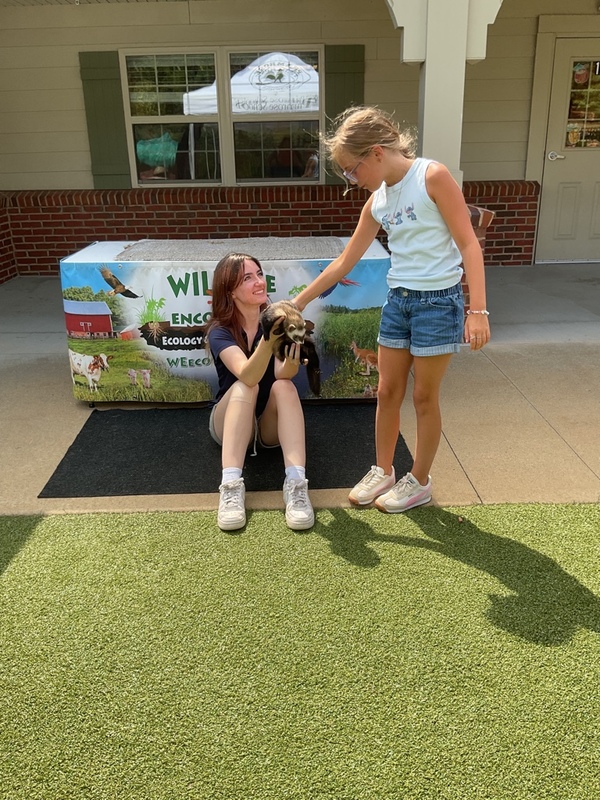 Primrose School at... - Primrose School at Bedford Hills