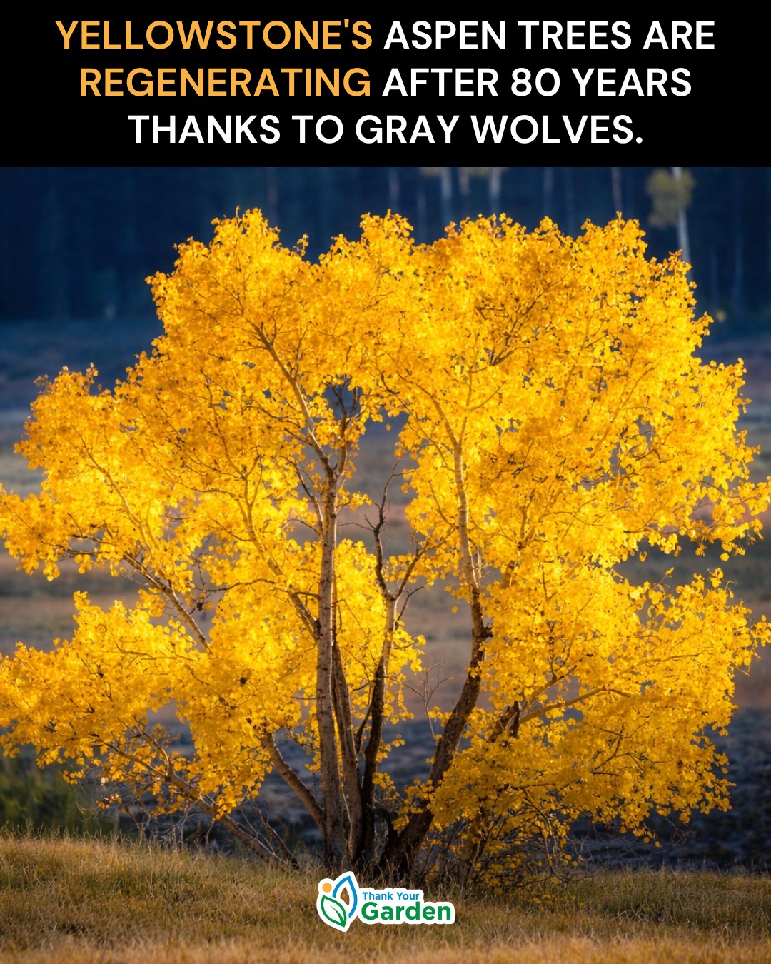 Bob Gaines - finally, some positive news. | Facebook