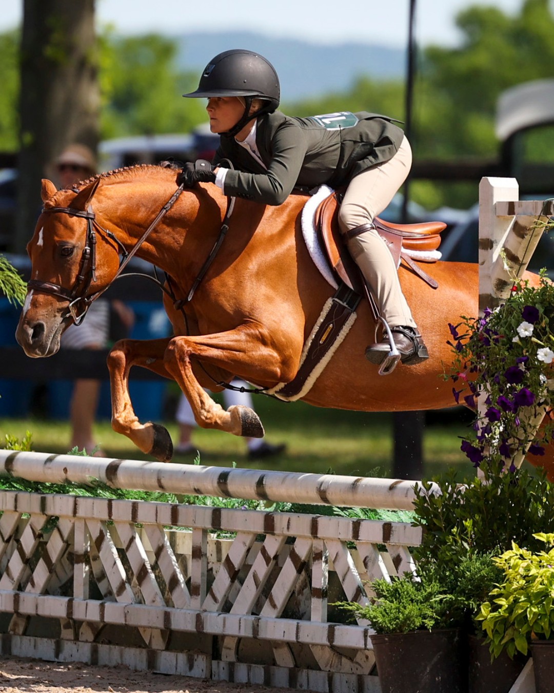Upperville - With roots in the hunt field, equestrian style has long ...