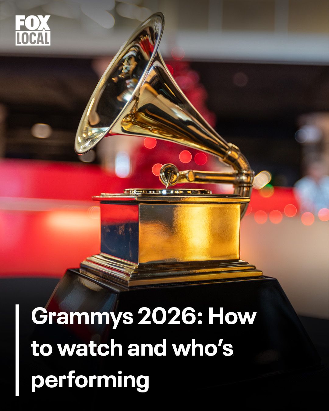 The 68th GRAMMY Awards Pre-GRAMMY Gala & GRAMMY Salute to Industry