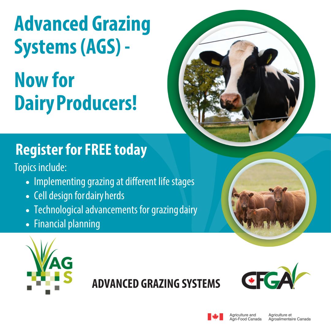 Image result for Canadian - Advanced Grazing Systems (AGS) - Now for Dairy Producers ...