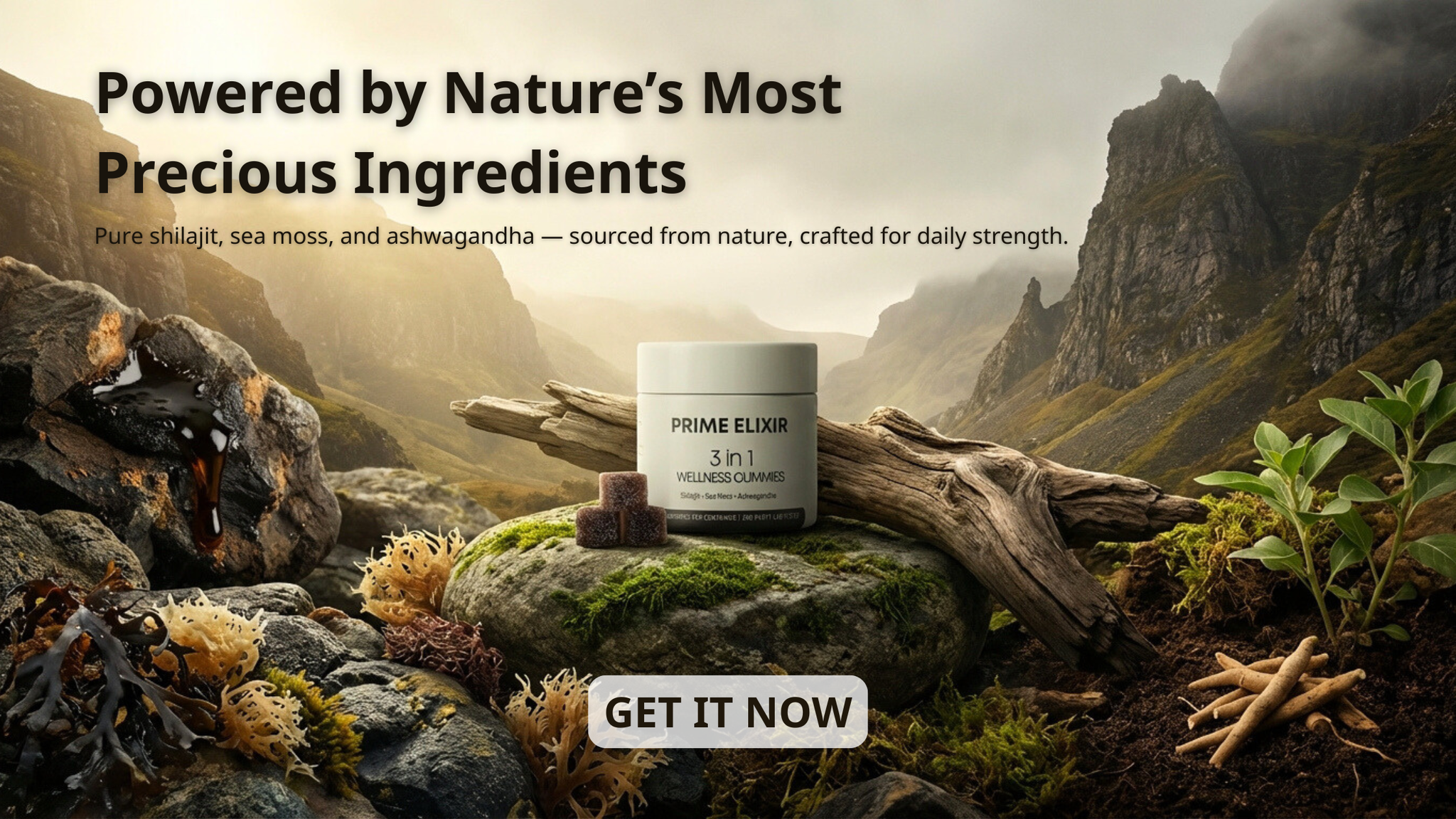 Prime Elixir | Maguinao