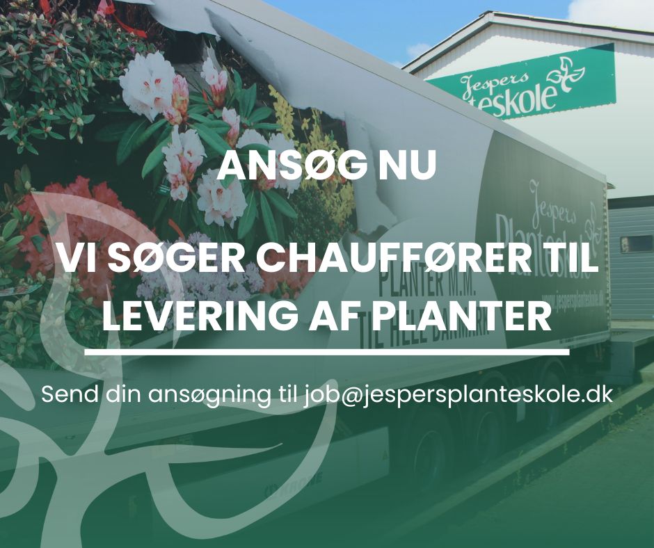 jespers-planteskole-holstebro