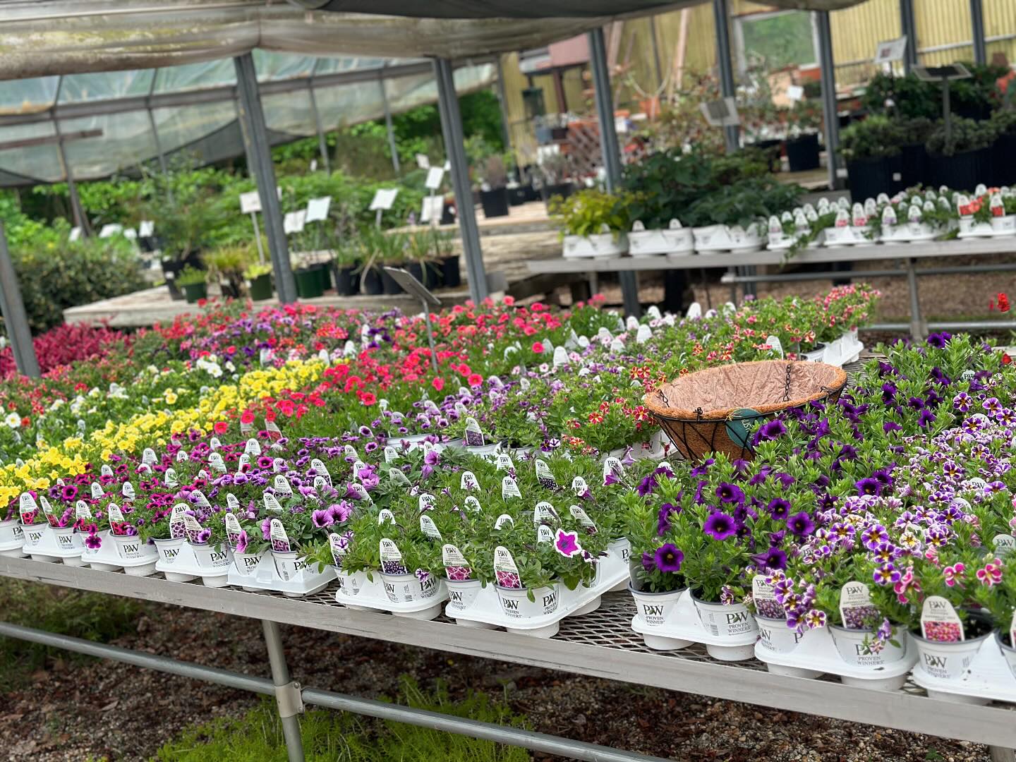 Southern Roots Nursery and Gardens | Newnan GA