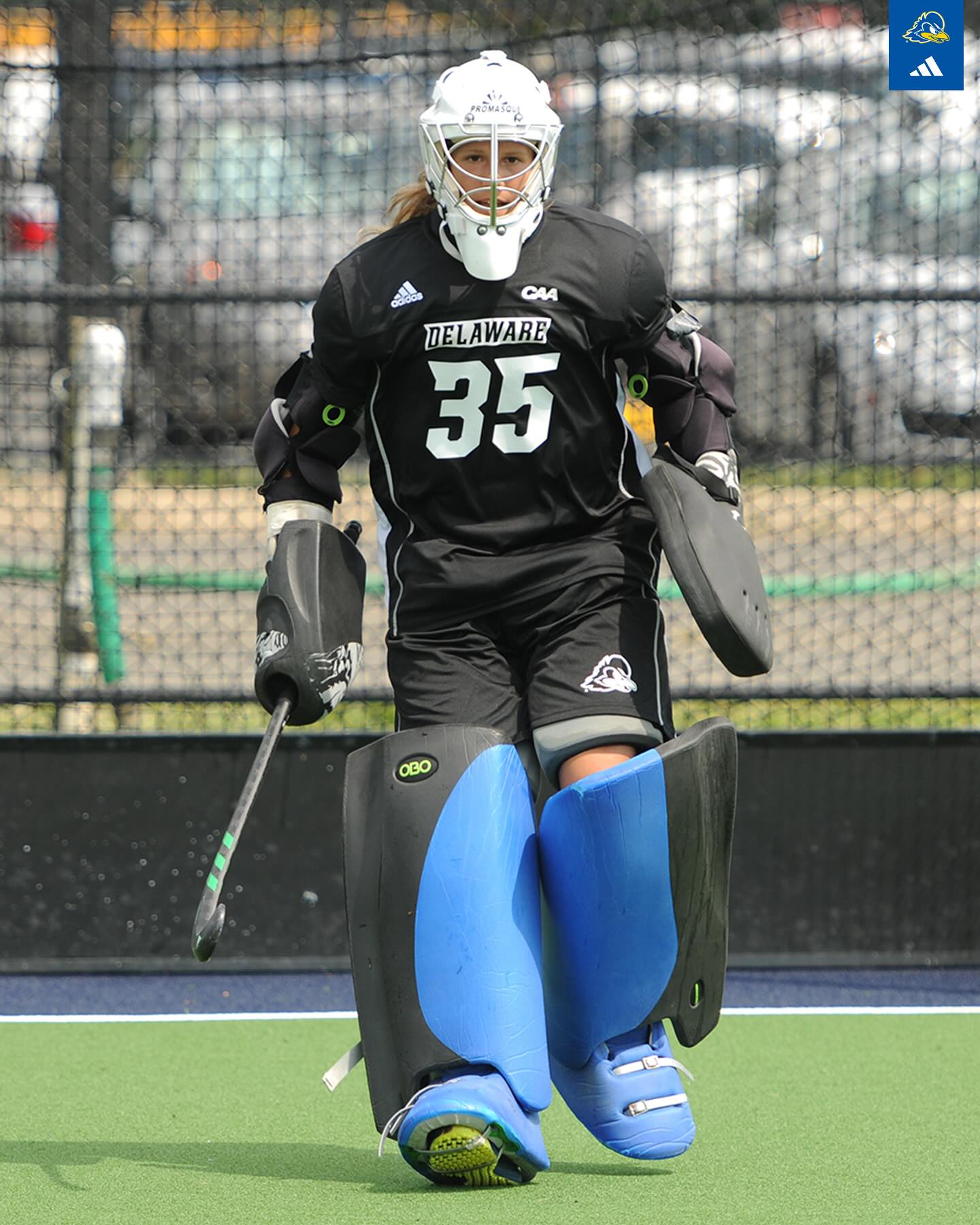 Delaware Field Hockey - Looking for our 4Peat 󾟛󾟛󾟛 https://spark.adobe ...