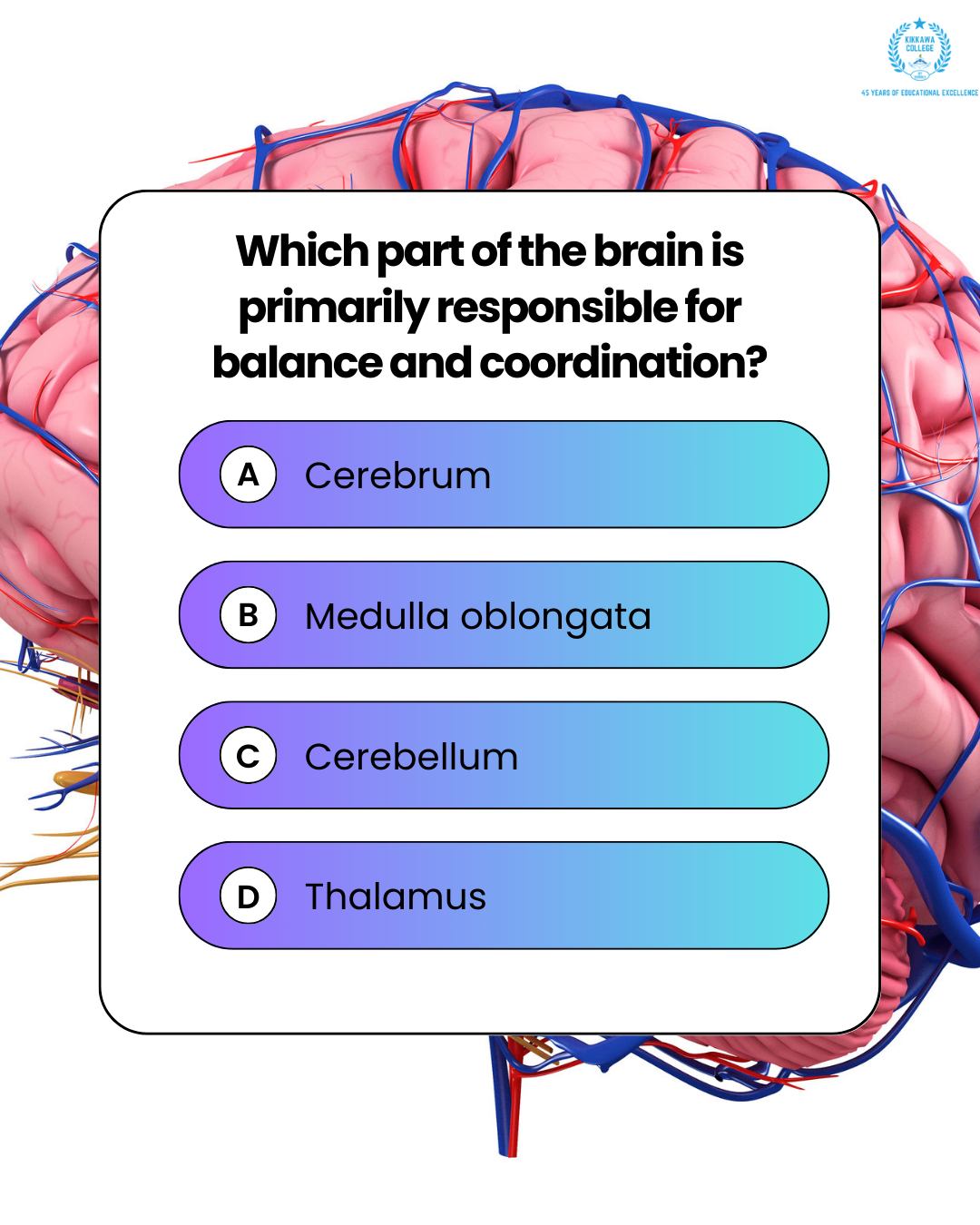 ICT - 🧠 Test Your Anatomy Knowledge! Can you identify which part of the ...