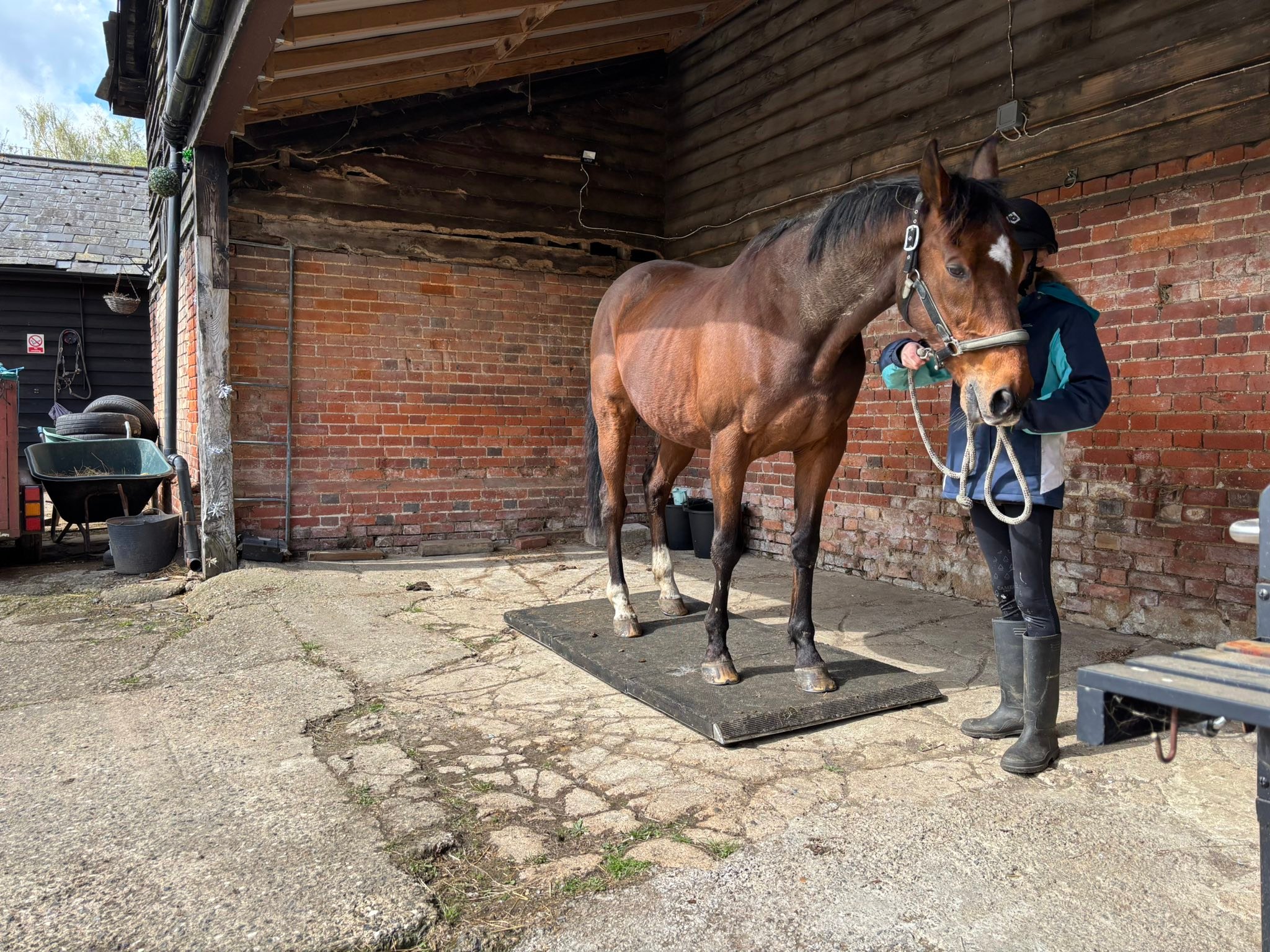 Little Wratting Riding School | Bury St. Edmunds