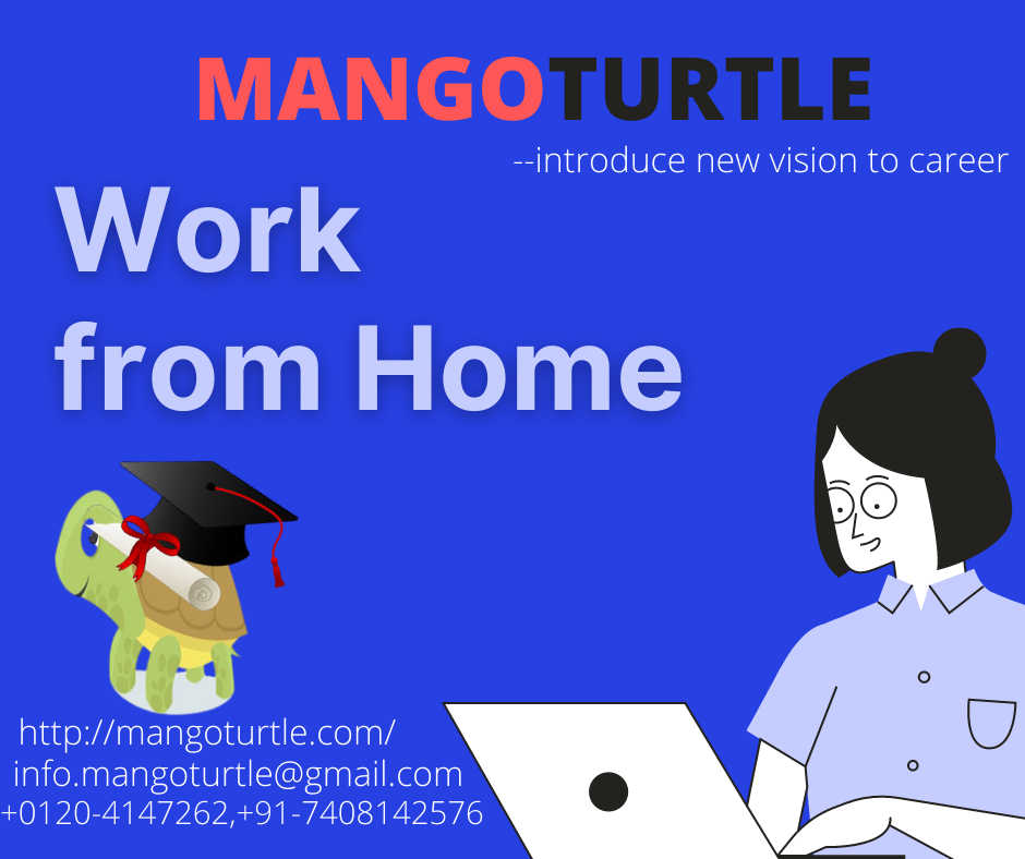 Mango Turtle - Home