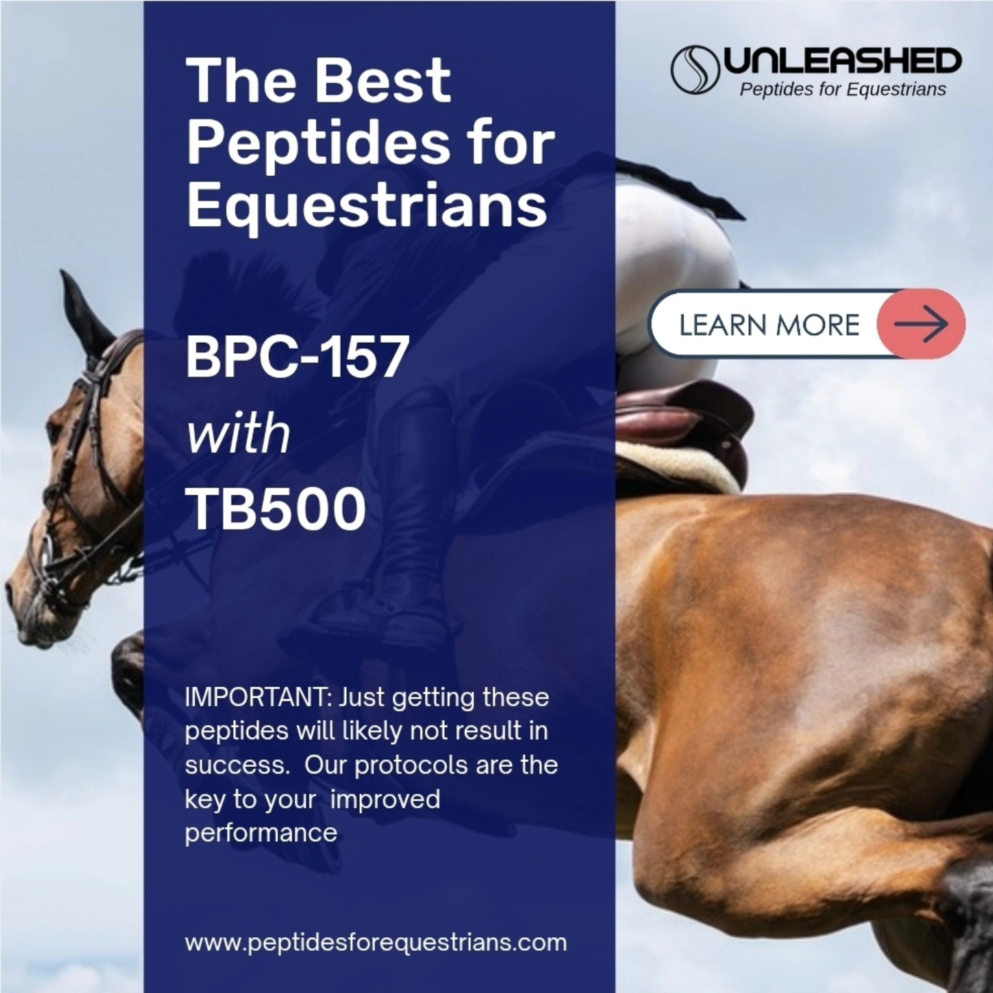 There are hundreds of #peptides we can all play around with but what do you really need to #improve your #athletic #performance. .. We know the answer... .. .. www.peptidesforequestrians.com #equestrian #showjumping #