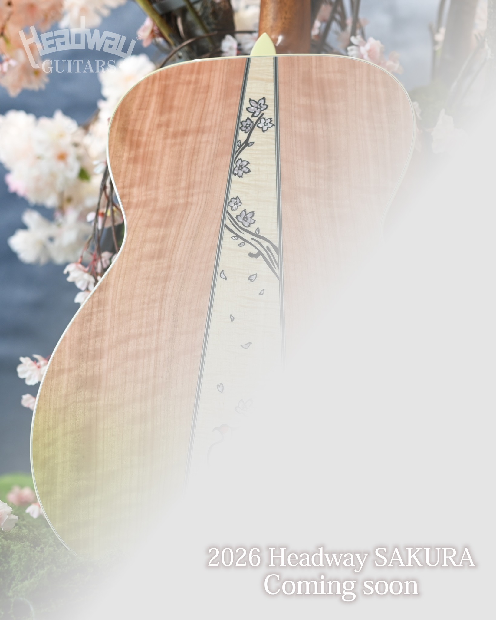 ディバイザー momose 桜 テレキャスター モモセ 2025日向桜 4弦 新入荷