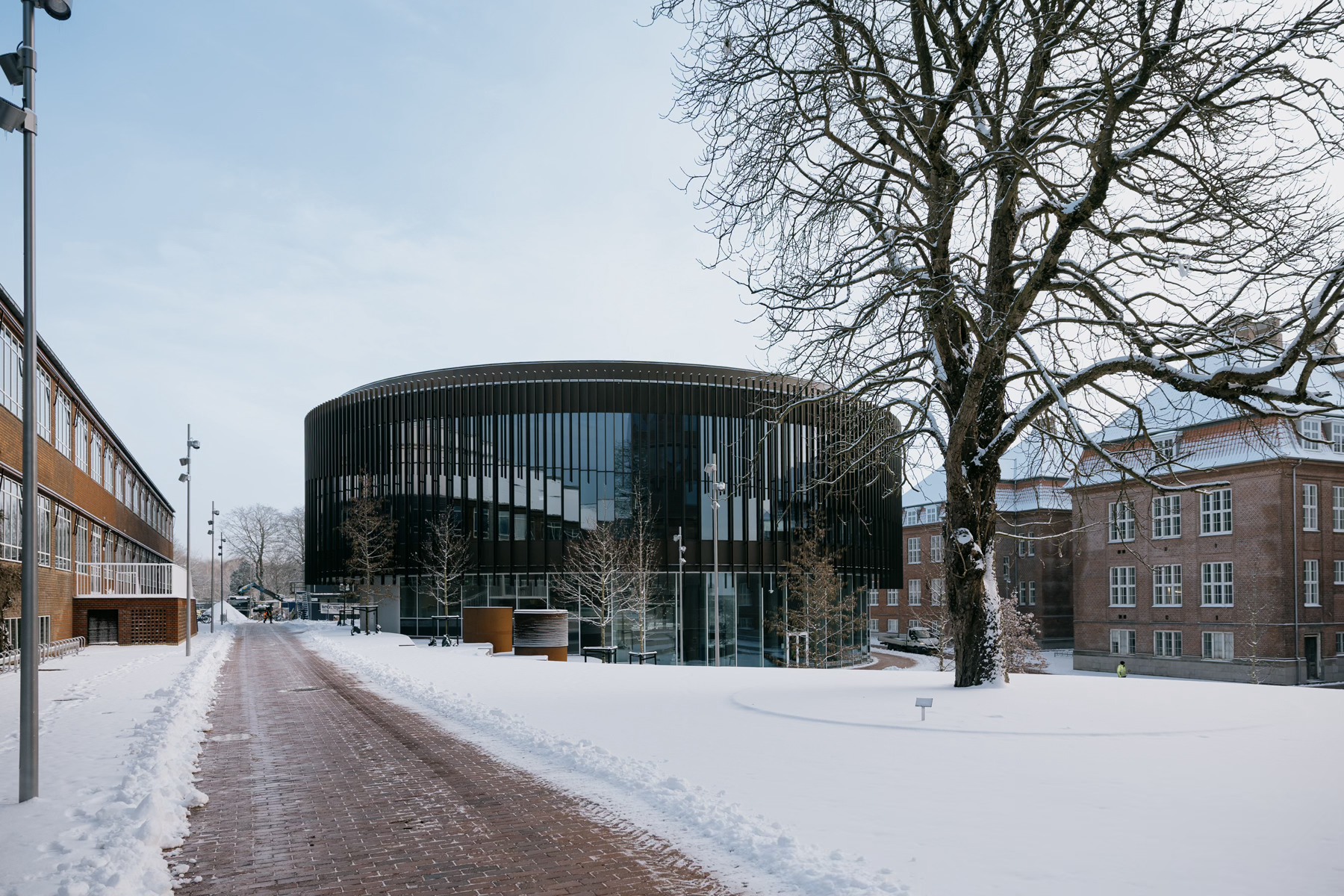 Aarhus Universitet added a new photo. - Aarhus Universitet