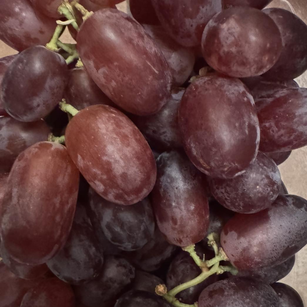 Connaught - ☠️ Grapes and their dried fruits ☠️ Grapes are a popular ...