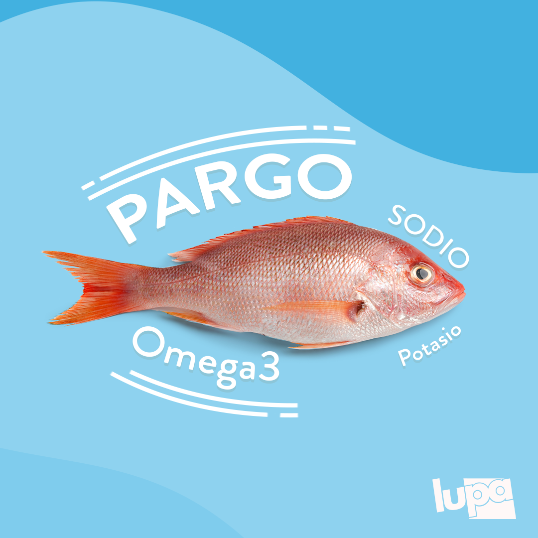 ¿Conoces el pargo rojo? ¡Es uno de... - Lupa Supermercados