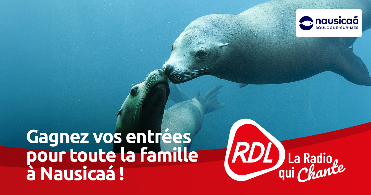 RDL - 🌊 Toute la semaine sur RDL dans Debout c'est l'été :... | Facebook