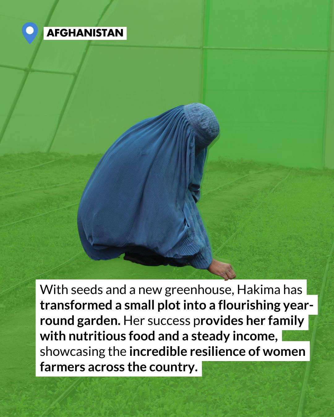 Action Against Hunger USA... - Action Against Hunger USA