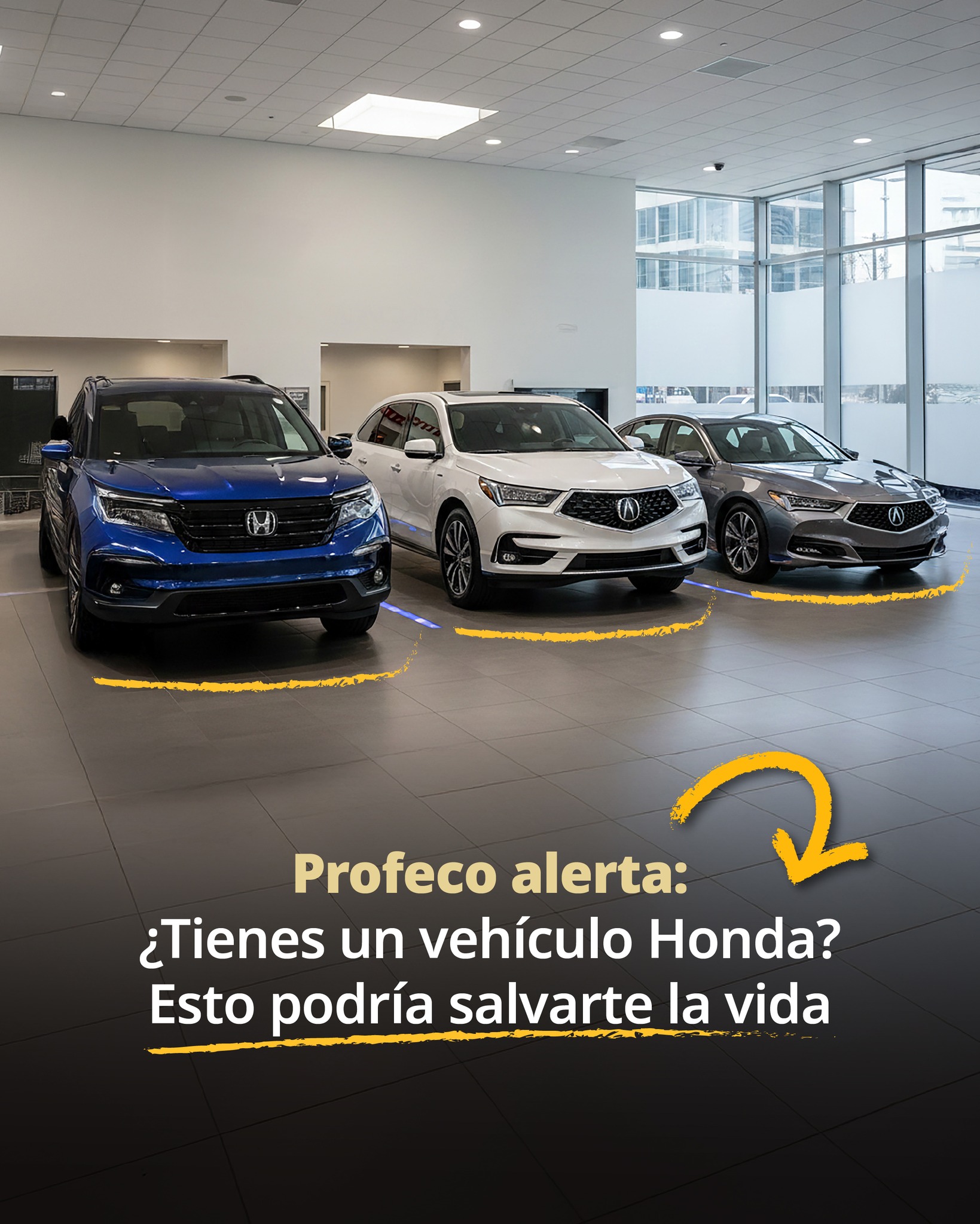 Procuraduría - ¡Ponle fin a las llamadas publicitarias! inscribe tu ...