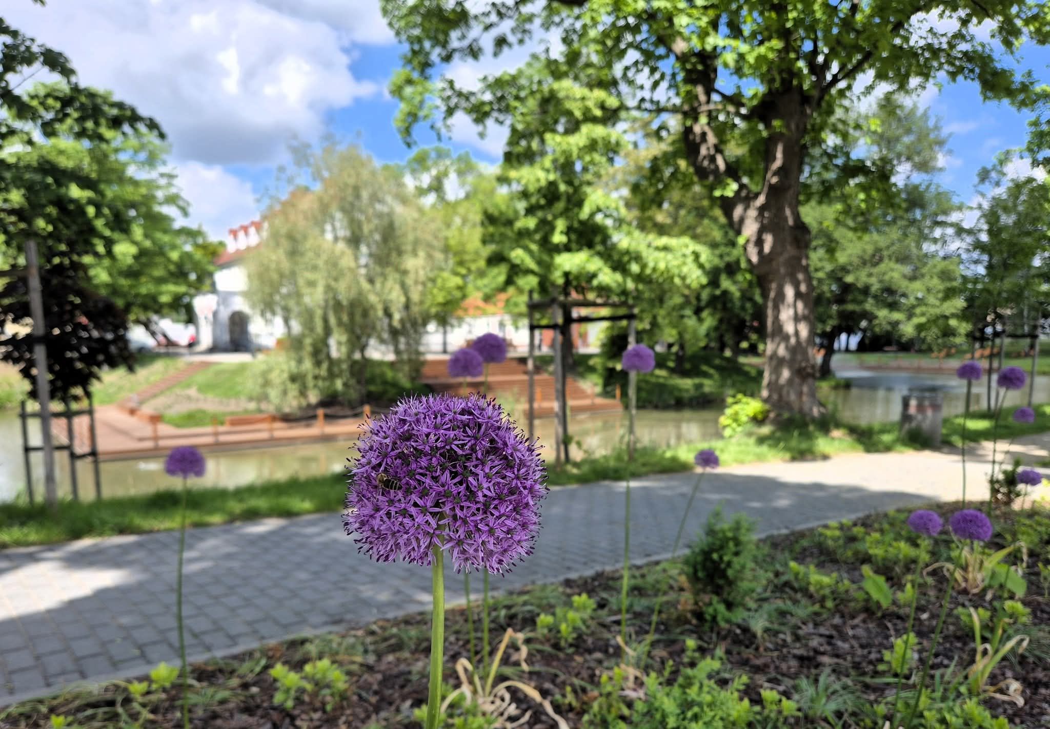 Gmina Krobia | Krobia