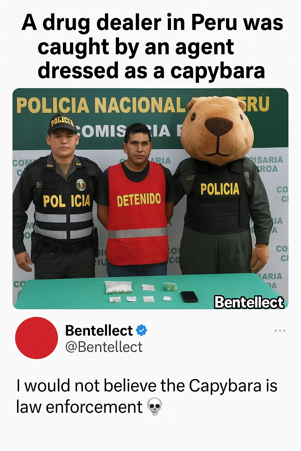 Bentellect