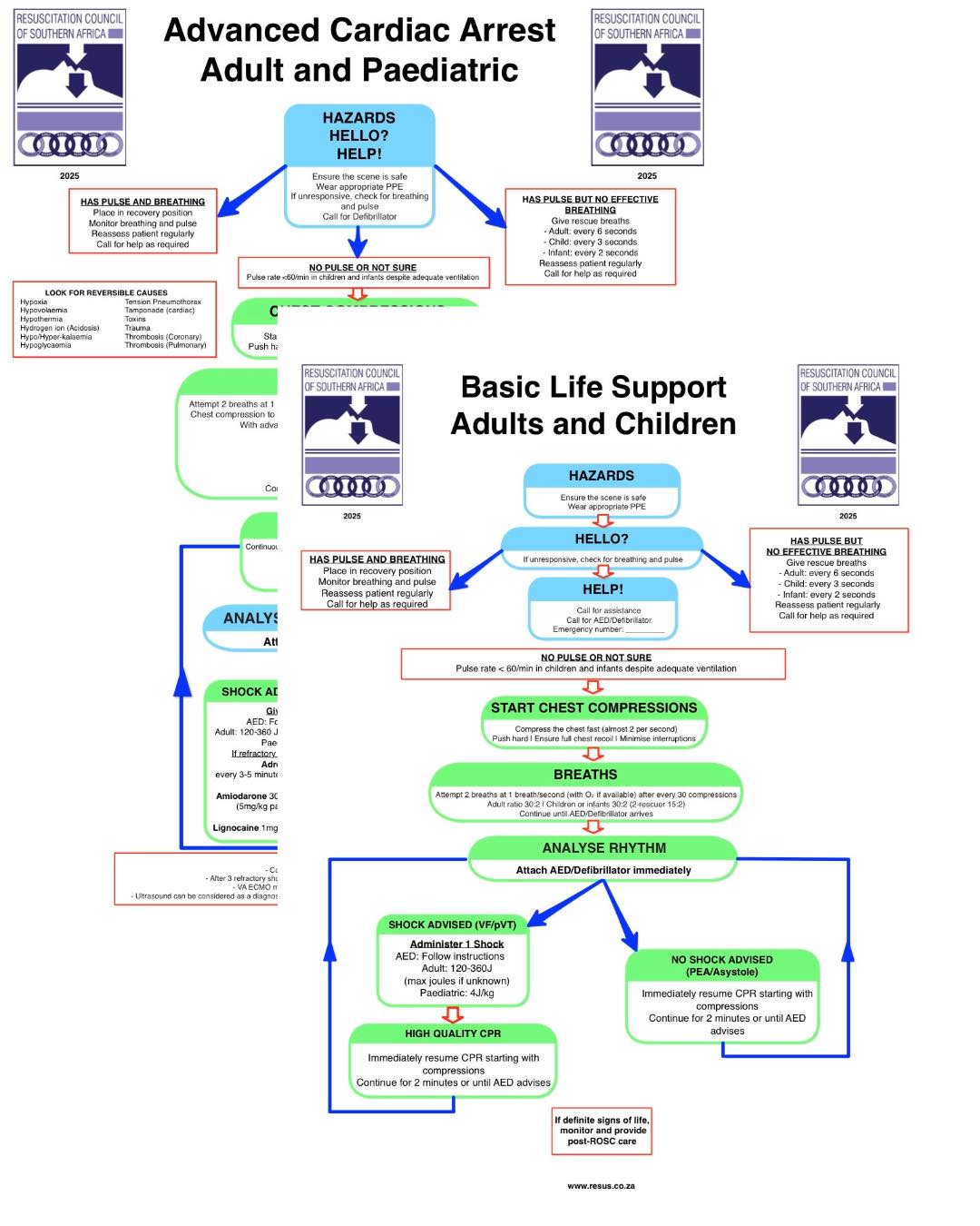 Resuscitation - *Reminder* 2025 guidelines are up on the RCSA website ...