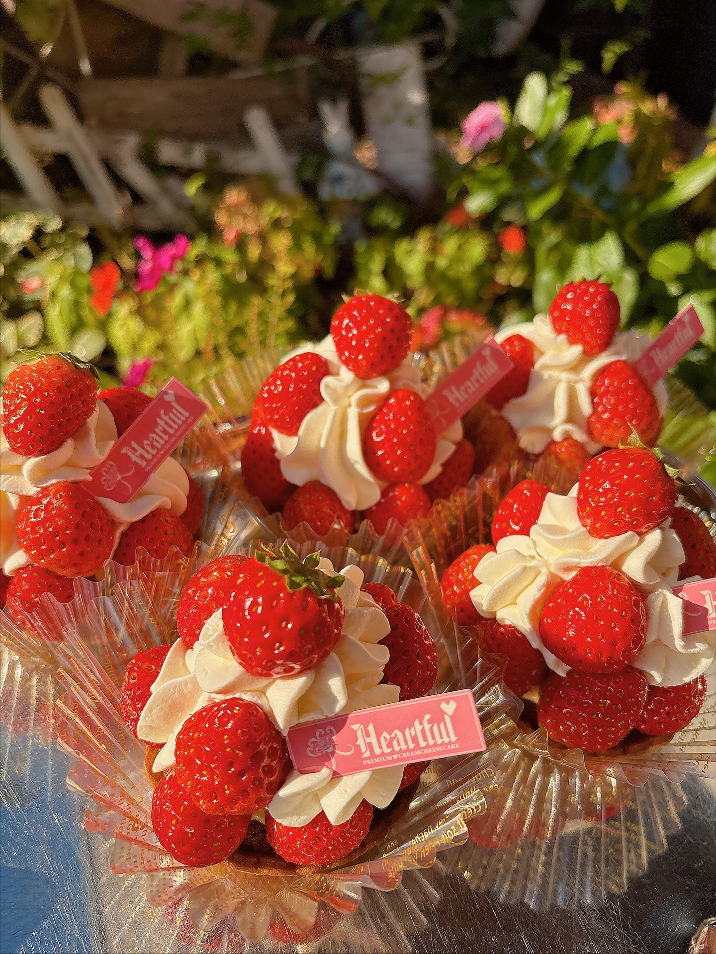 今日のおすすめ🍓いちごのタルト🍓 すこーしずつ国産のいちごも出始め