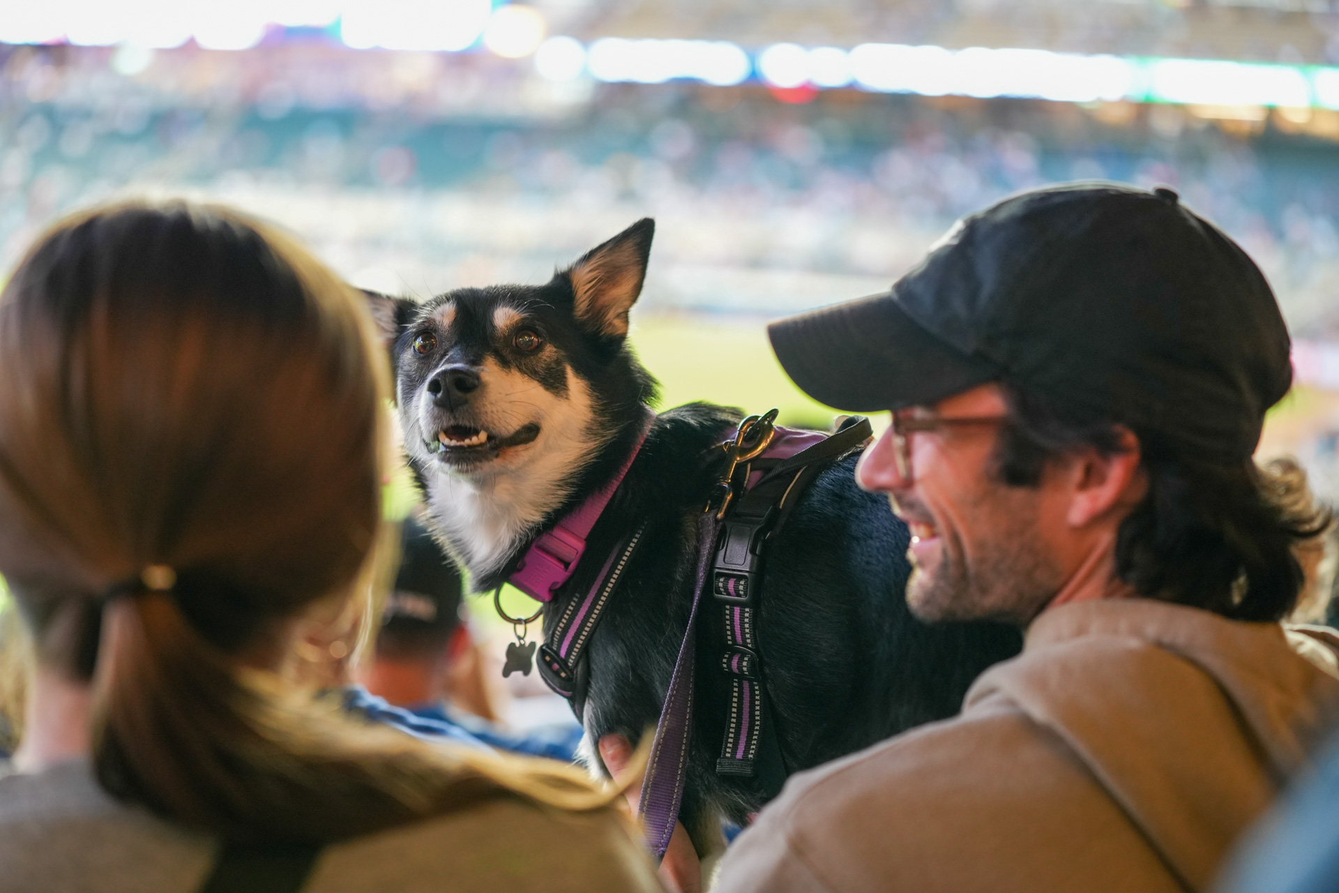 Animal Humane Society added a new... - Animal Humane Society