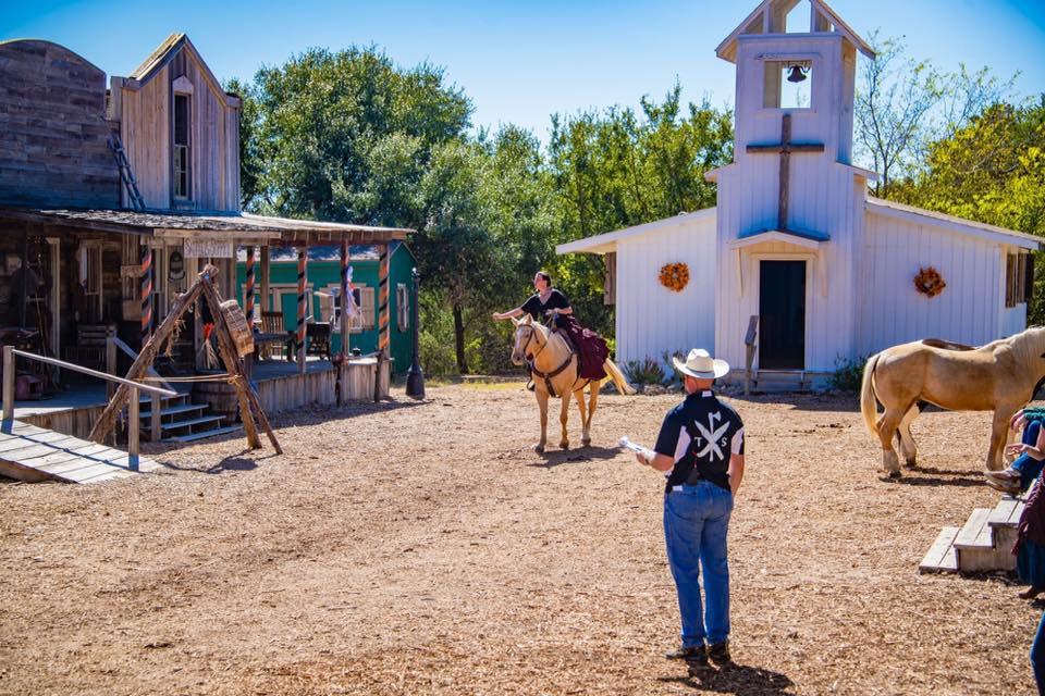 The Rhinestone Roper Show