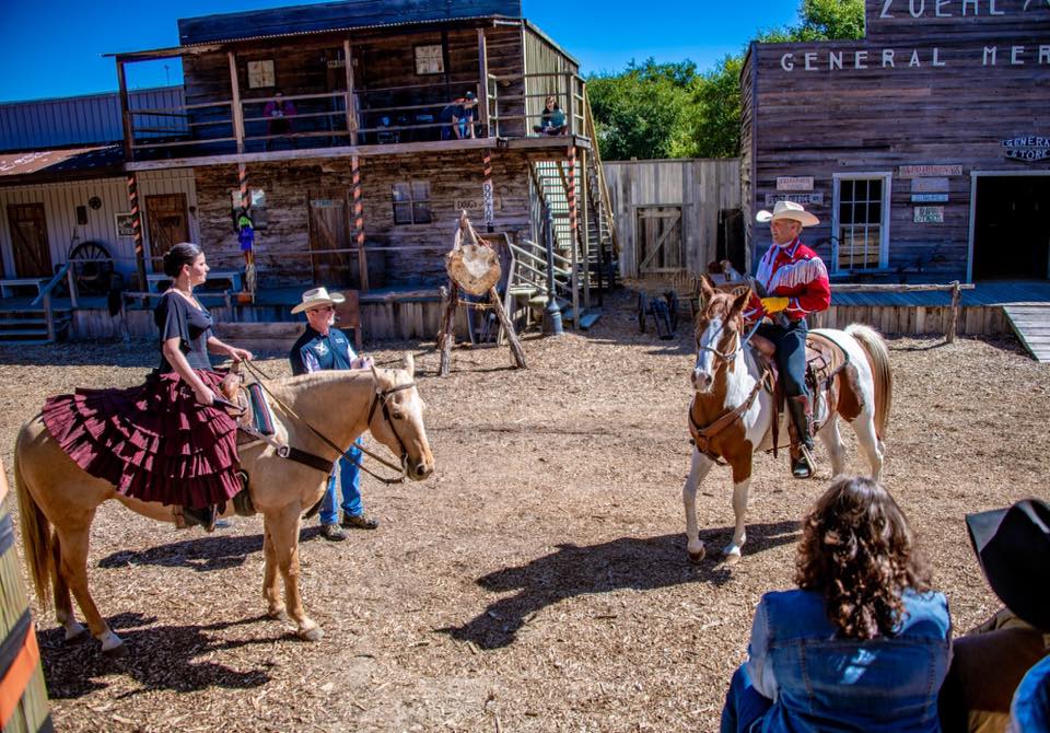 The Rhinestone Roper Show