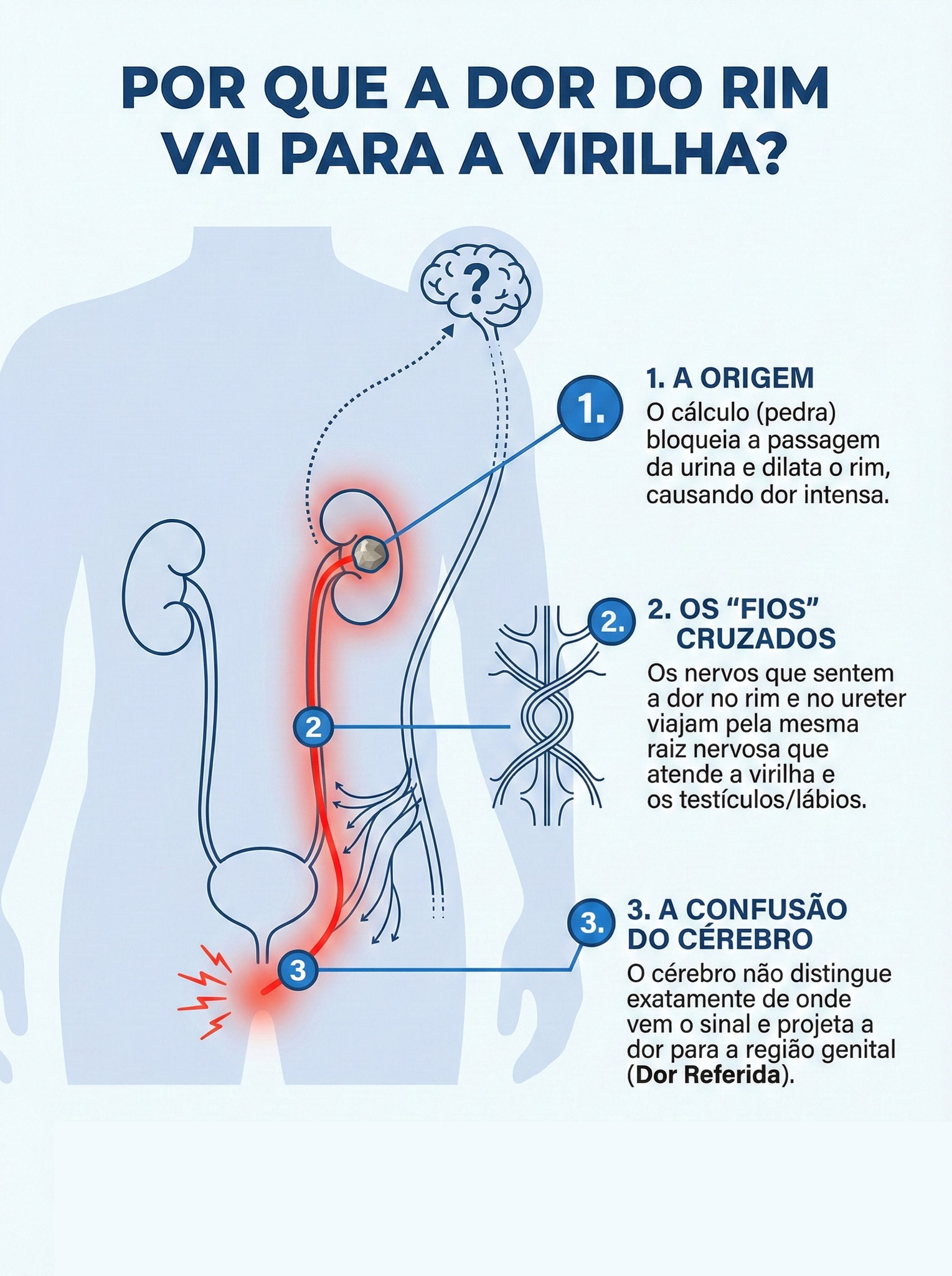 Por que uma pedra nas costas faz... - Temperos Descomplicados | Facebook