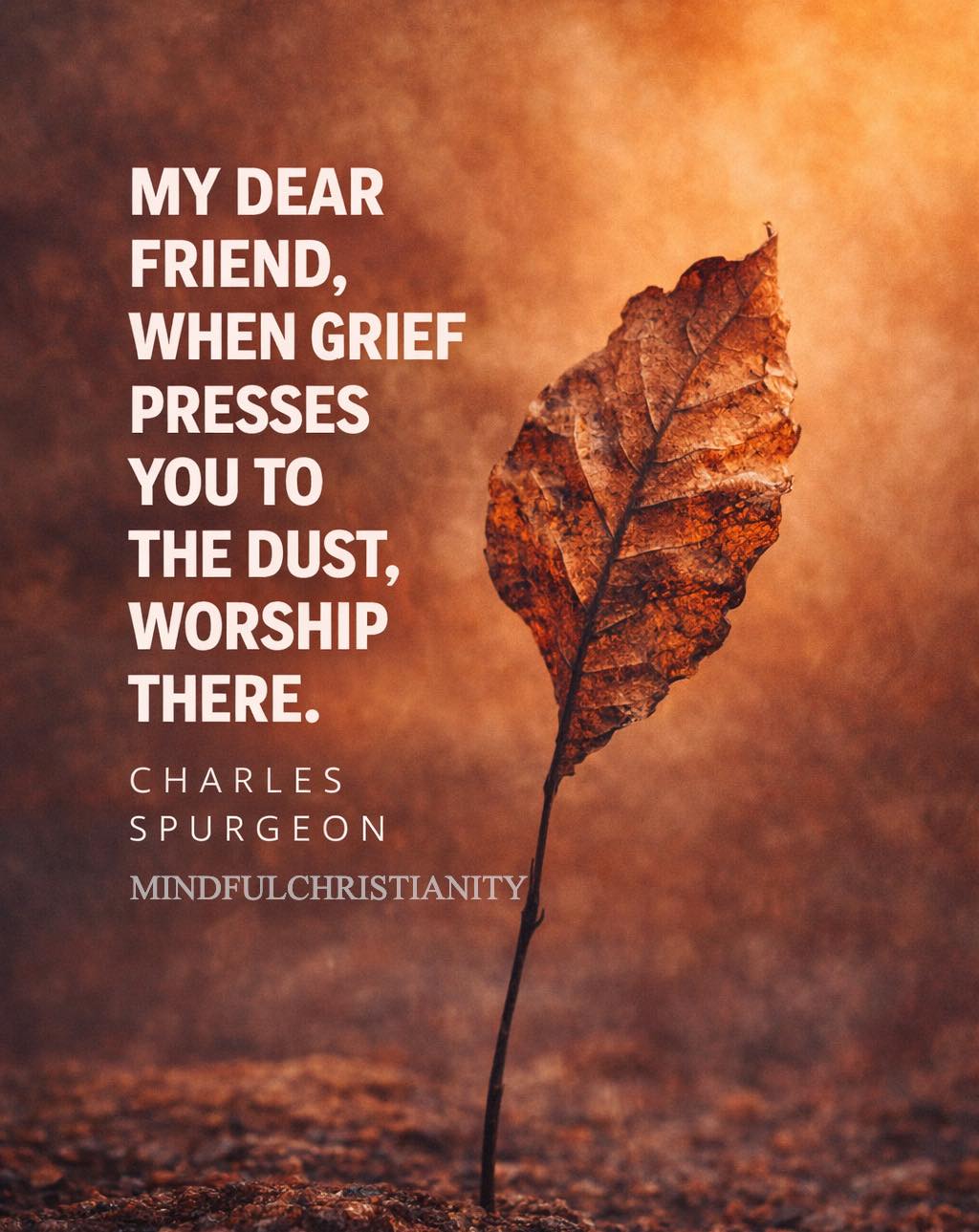 Mindful - When grief presses heavy and words fall short, this is your ...
