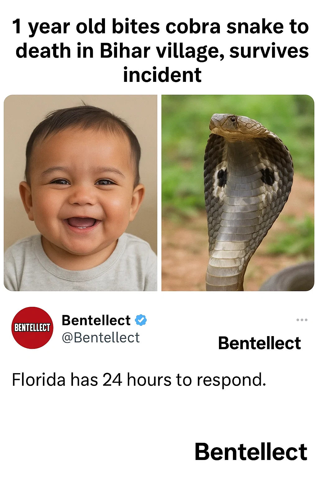 Bentellect