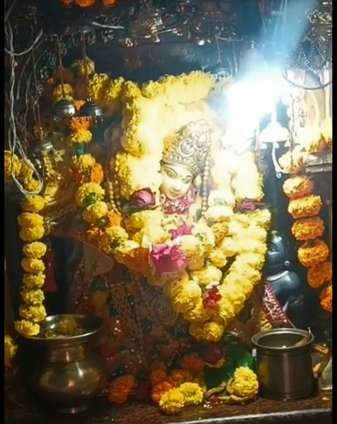 maa-baglamukhi-mandir