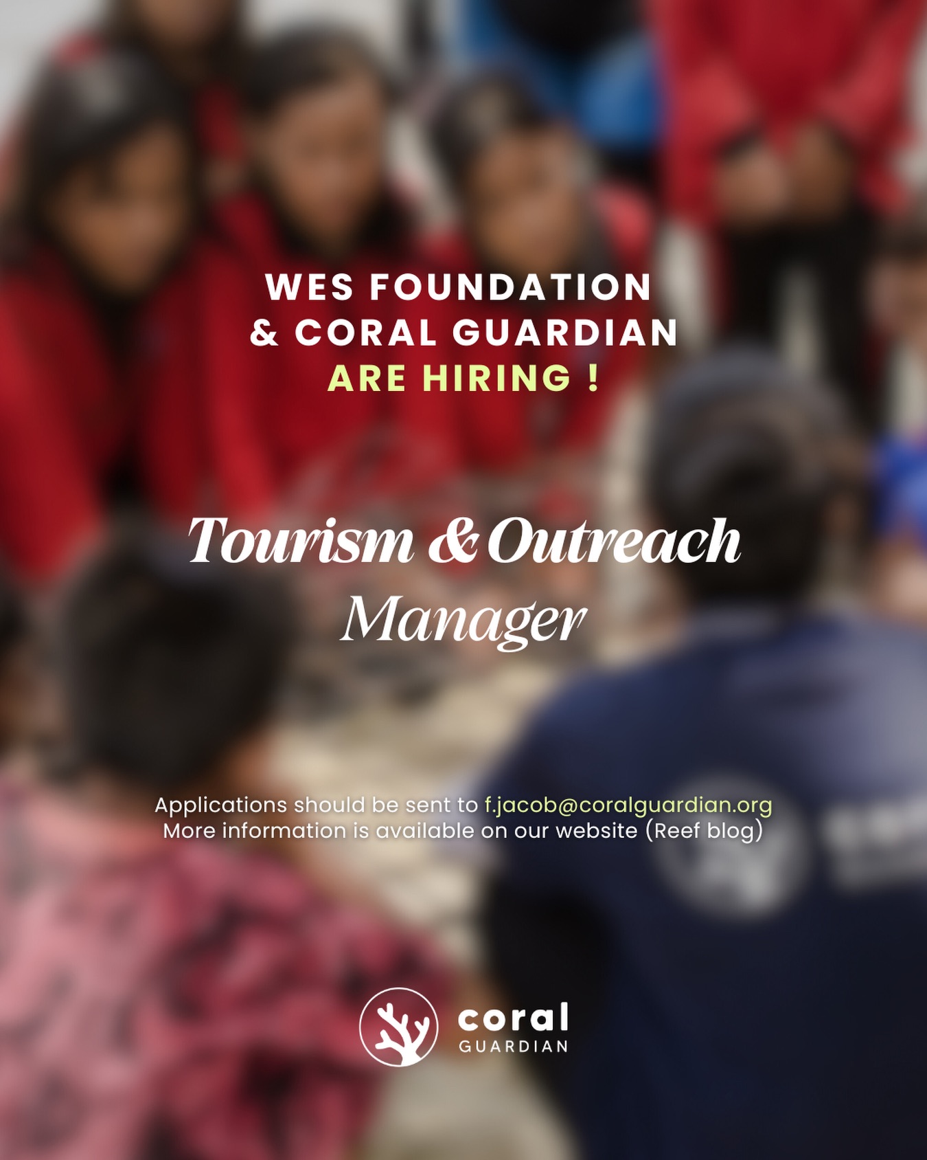 Coral - OUR PARTNER WES FOUNDATION IS HIRING! 🤝 We are looking for the ...