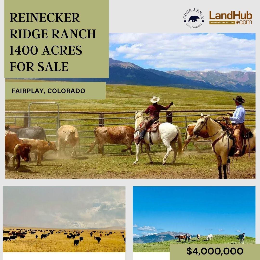 LandHub.com - 🏔️ Reinecker Ridge Ranch – 1,400± Acres of Prime Colorado ...
