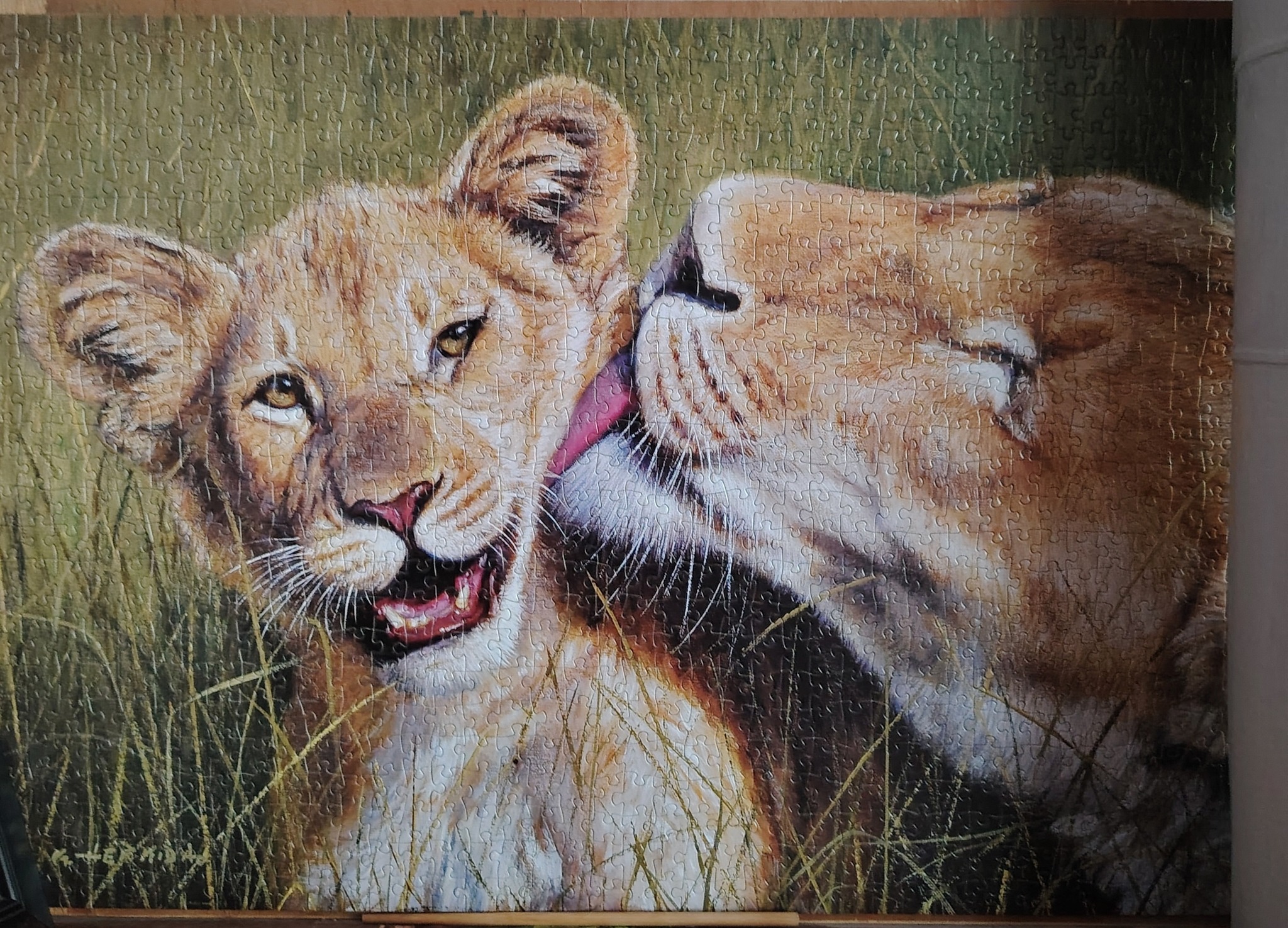 Displaying a 2000 piece puzzle on a coffee table