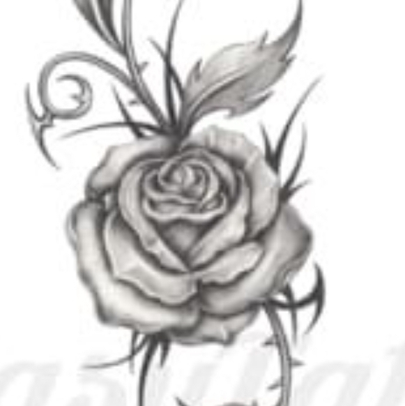 THE ROSE 더로즈 (Blackrose) INTERNATIONAL | VIP PACKAGES | Facebook