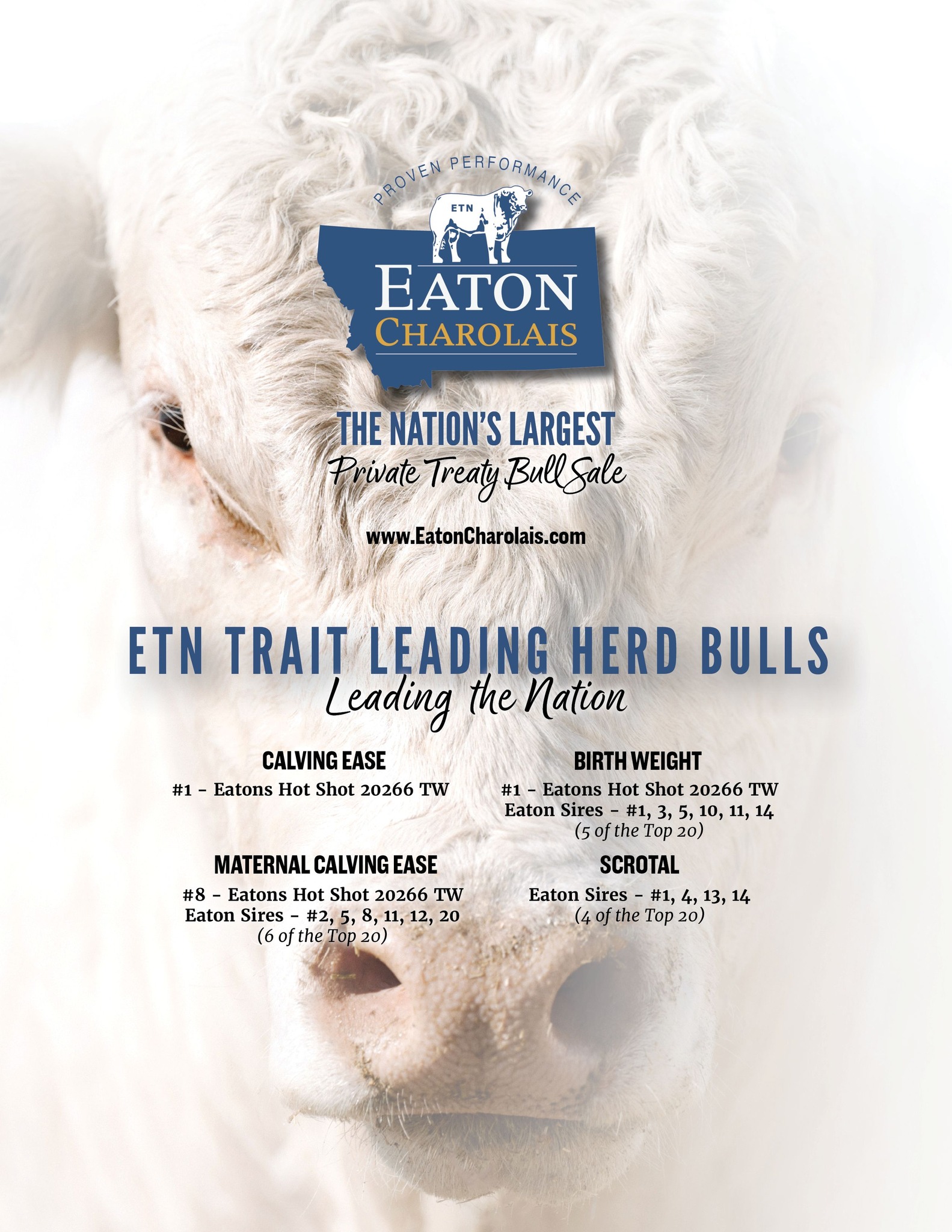 ETN HERD SIRES LEAD THE BREED 2026... - Eaton Charolais Ranch | Facebook