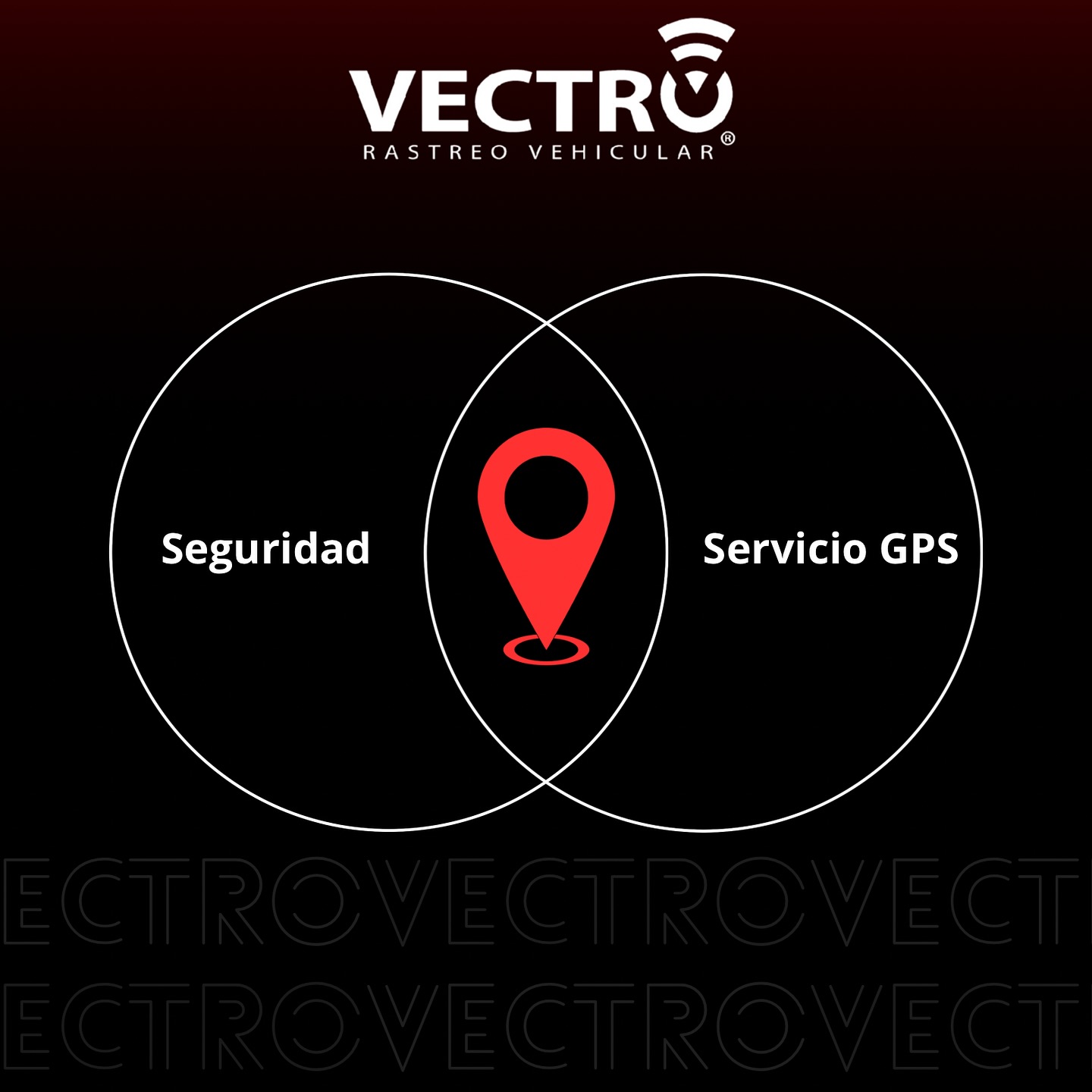 Vectro Gps
