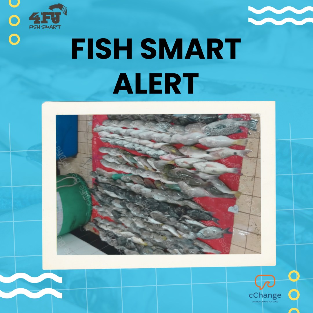 4FJ Movement - 🌊 This is why Fish Smart matters. 🌊... | Facebook