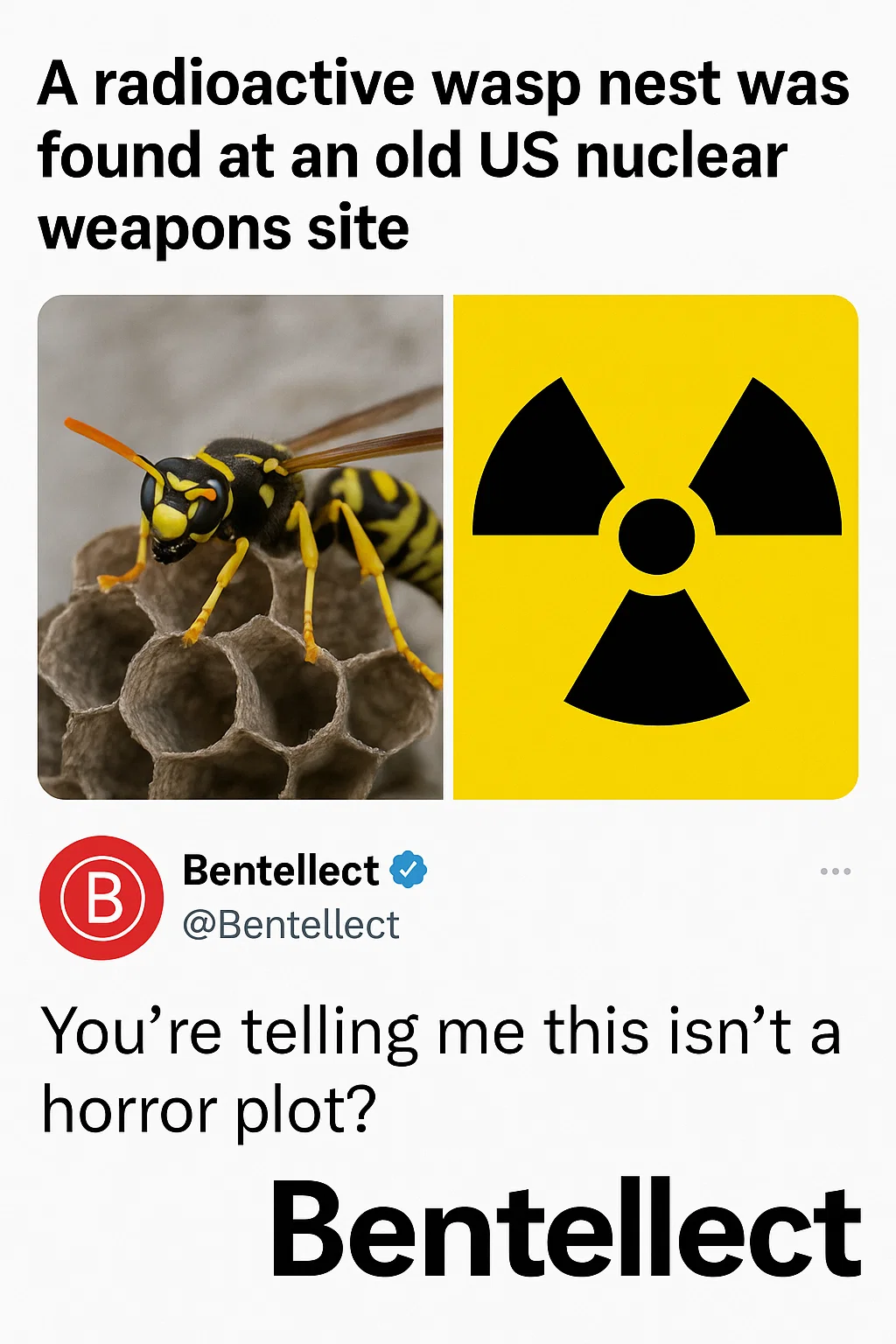 Bentellect