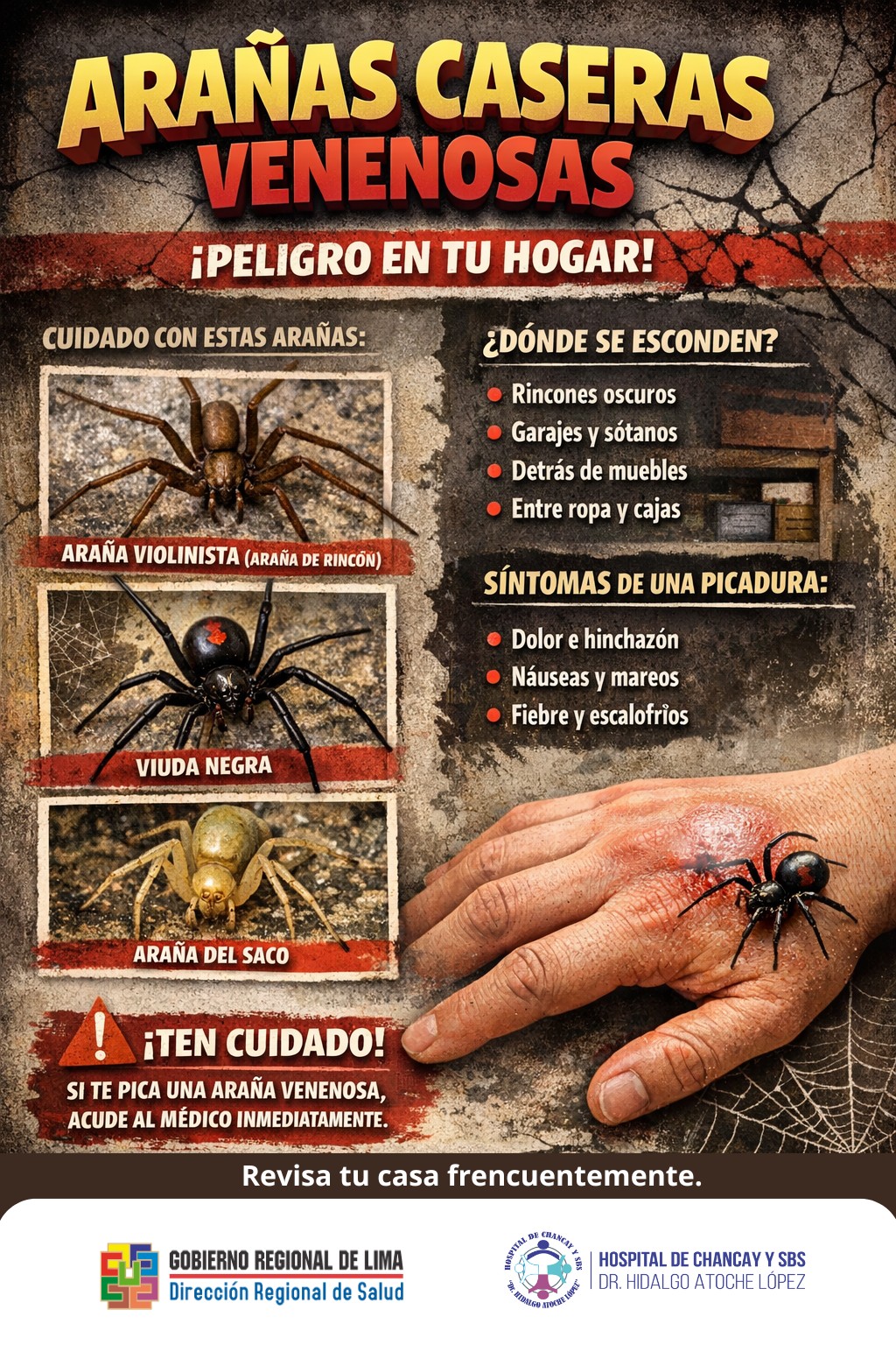 Hospital... - Hospital de Chancay 