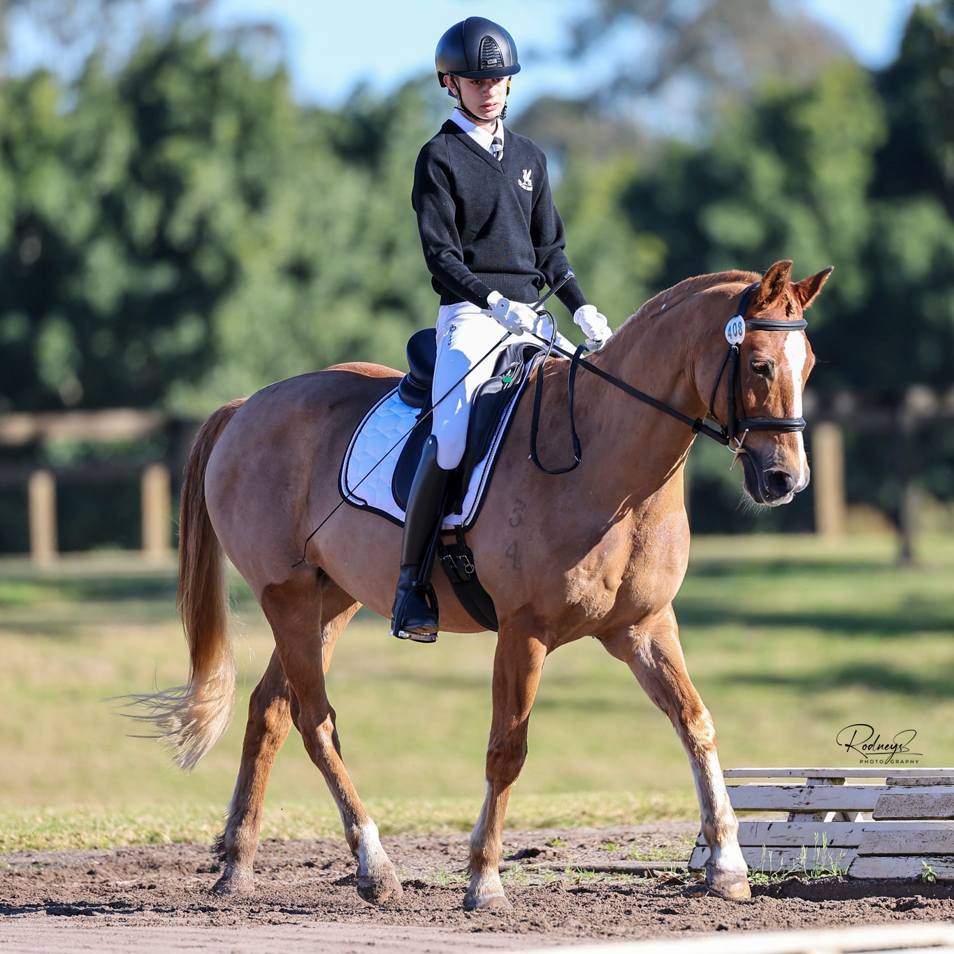 🐴 Equestrian Excellence at... - Newington College | Facebook