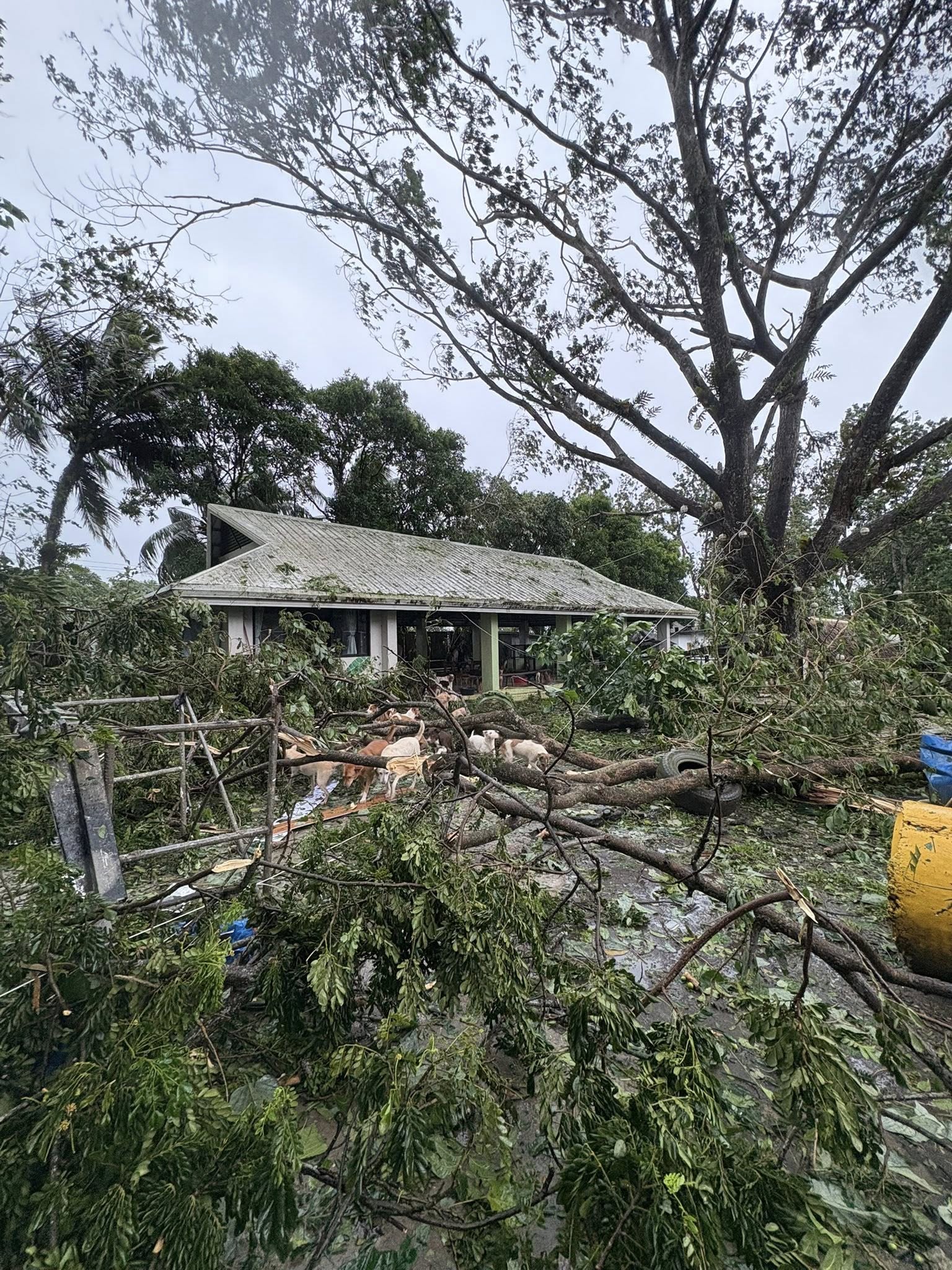 ABS-CBN - BALAY PAWSSION SA BACOLOD SINIRA NG BAGYO Naputol ang mga ...