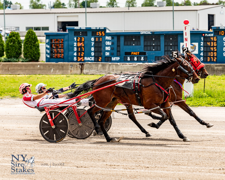 Wayne - 🐴🏁 Harness Racing Tomorrow at the Wayne County Fair! 🏁🐴 Catch ...