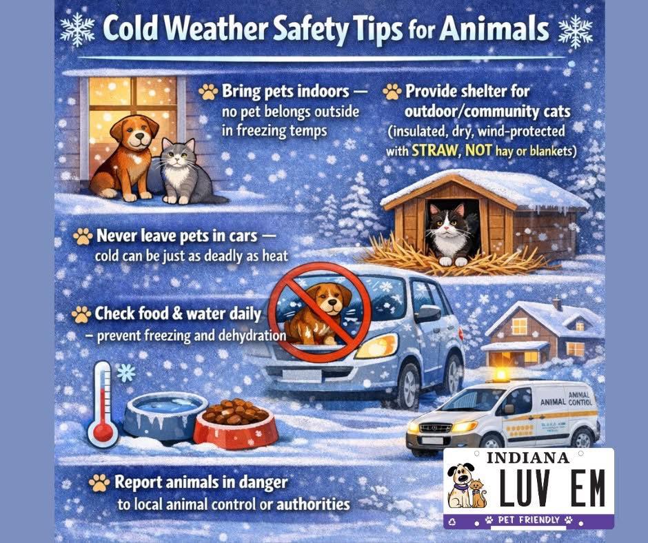 Evansville - ️ Cold Weather Pet Safety Tips ️ • Bring pets indoors — If ...