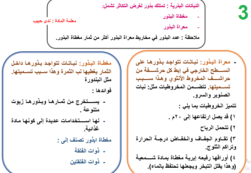 علوم تلخيص درس طالبات الصف الثامن في مدرسة عادل زعيتر Facebook