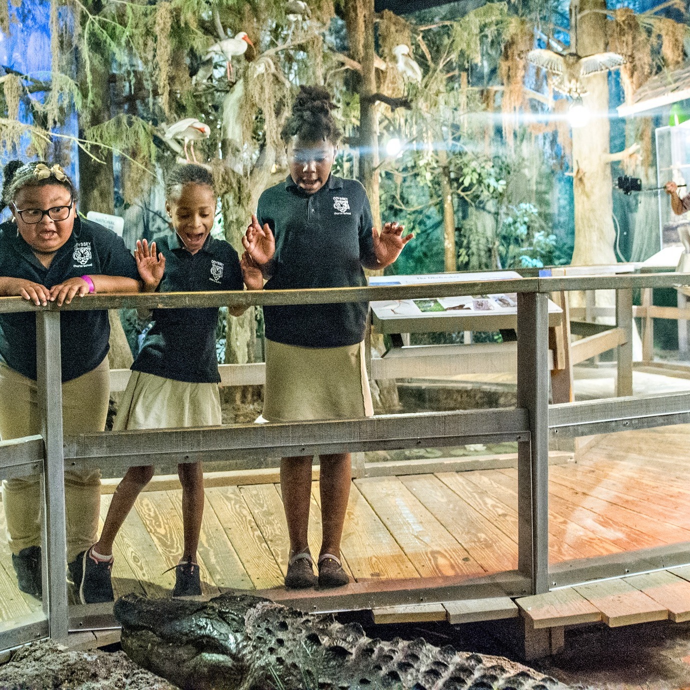 Fernbank Museum - 🎵Club Chicxulub: Extinction Party ☄️🦕 A... | Facebook